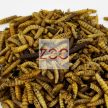 Fekete katonalégy lárva 50 g
