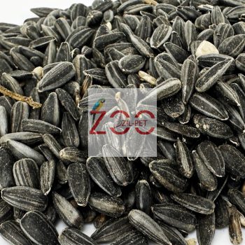 FEKETE NAPRAFORGÓ 10KG