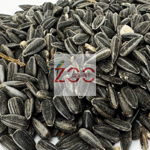 FEKETE NAPRAFORGÓ 10KG