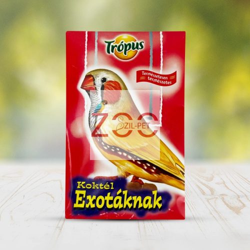 Koktél-PINTYnek 50 ml