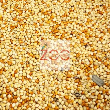 TRÓPUS PINTY ELESÉG 10KG