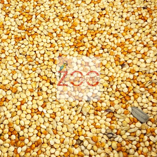 TRÓPUS PINTY ELESÉG 10KG