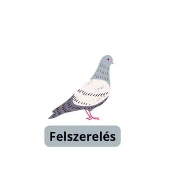 Felszerelés