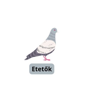 Etető 