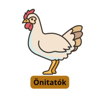 Itatók Önitatók