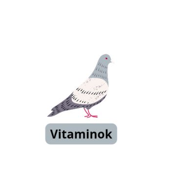 Vitaminok , ásványi anyagok 